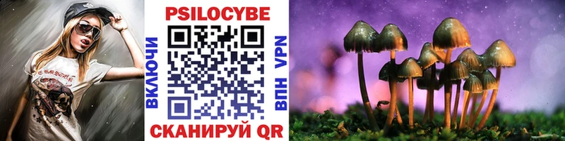 Псилоцибиновые грибы Psilocybe  Баксан 