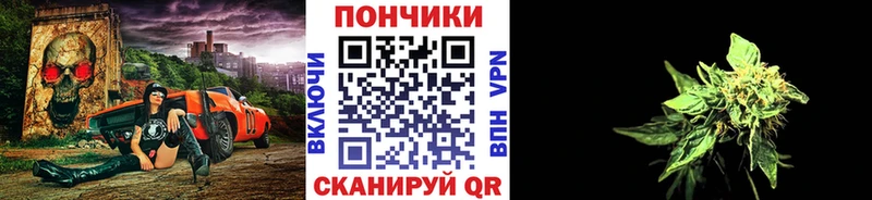 МАРИХУАНА ГИДРОПОН  где продают   Баксан 